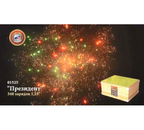 Фейерверк 348 залпов «Президент» Премьер салют 01525
