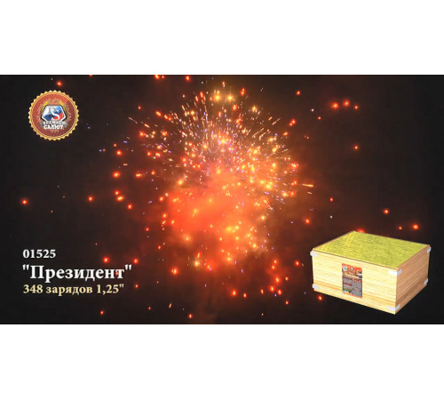 Фейерверк 348 залпов «Президент» Премьер салют 01525