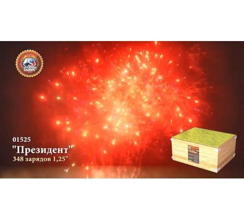 Фейерверк 348 залпов «Президент» Премьер салют 01525