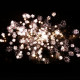 Комбинированный фейерверк 174 залпа «Андромеда» Piroff БСК0717410-12-15