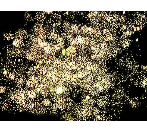 Фейерверк 339 залпов «Феерия Арт» Феерия FEE7276