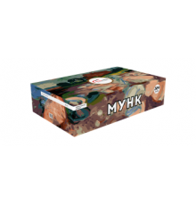 Фейерверк 364 залпа «Мунк» Салют Люкс РБВ-3641